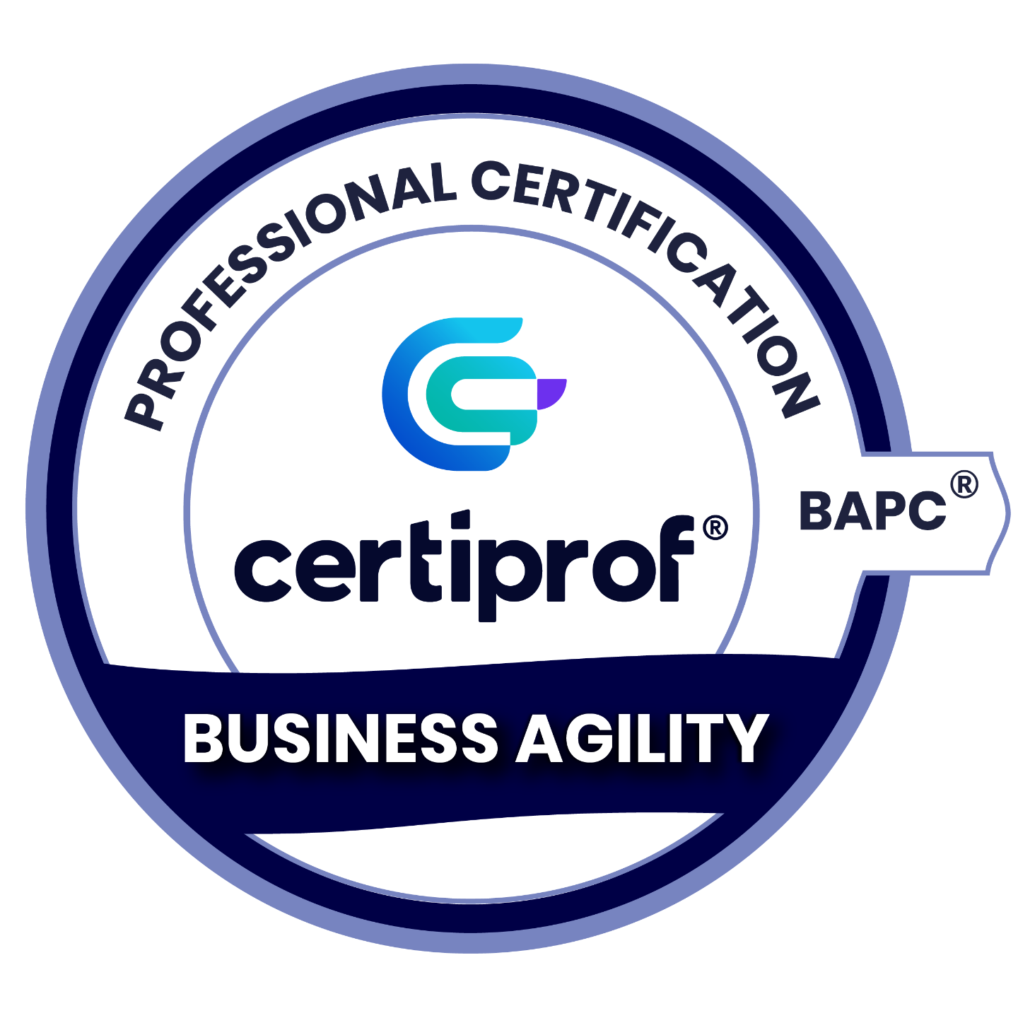 Free Business Agility Exam